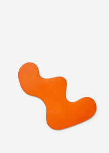 Reef Coaster